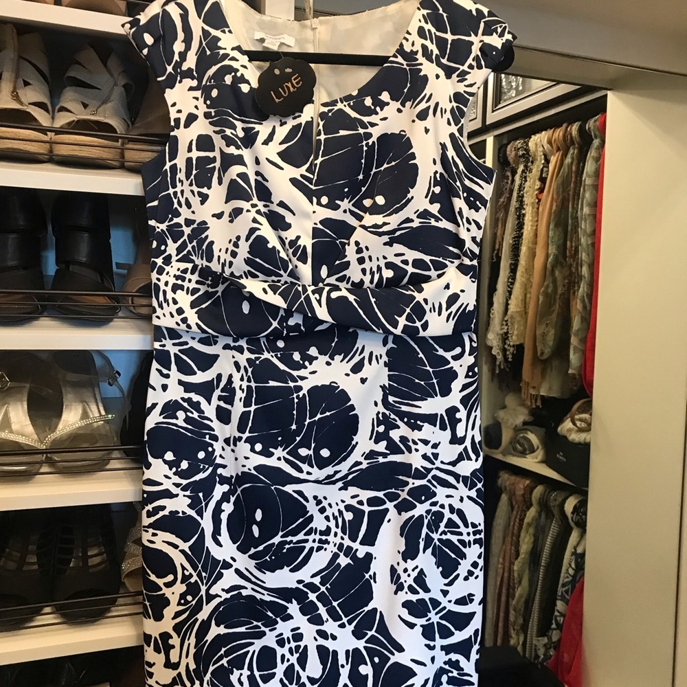 Dress Barn Dress